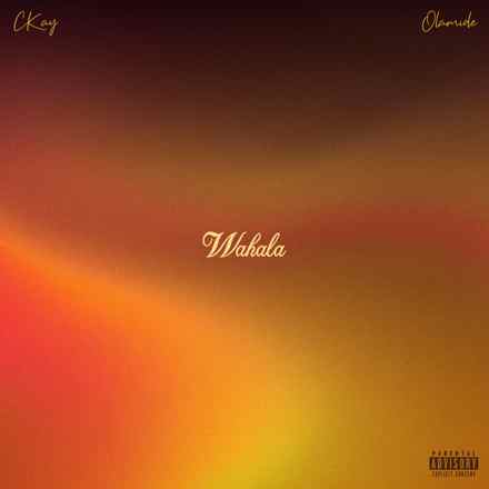 Ckay –Wahala Ft. Olamide